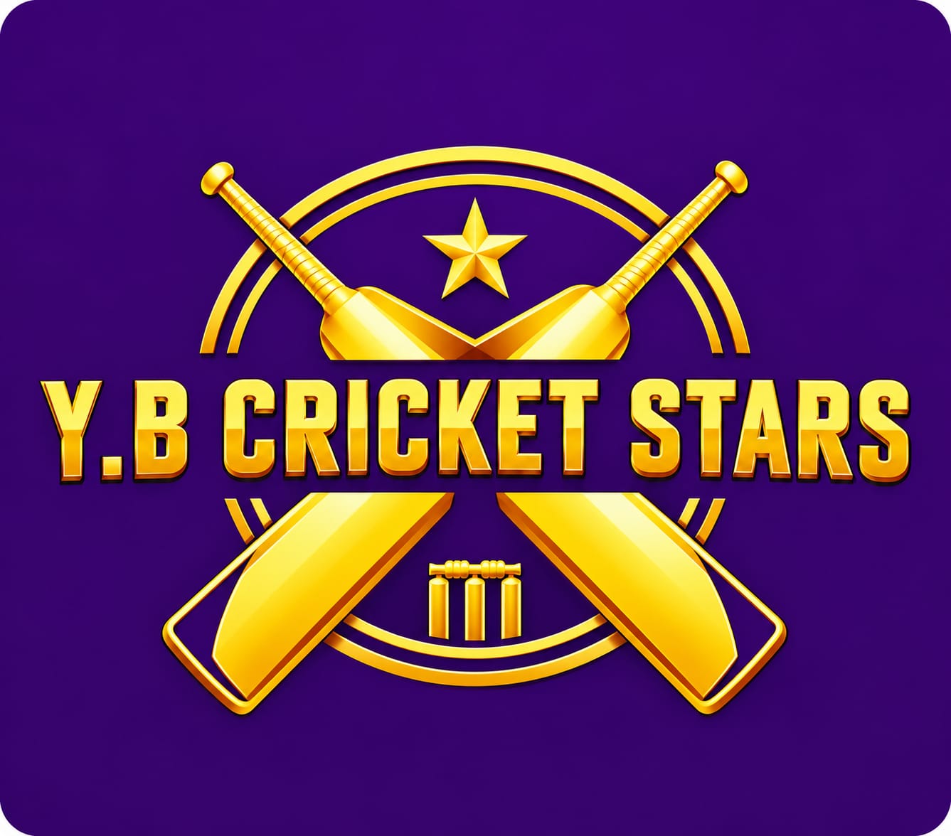 YB Cricket Stars